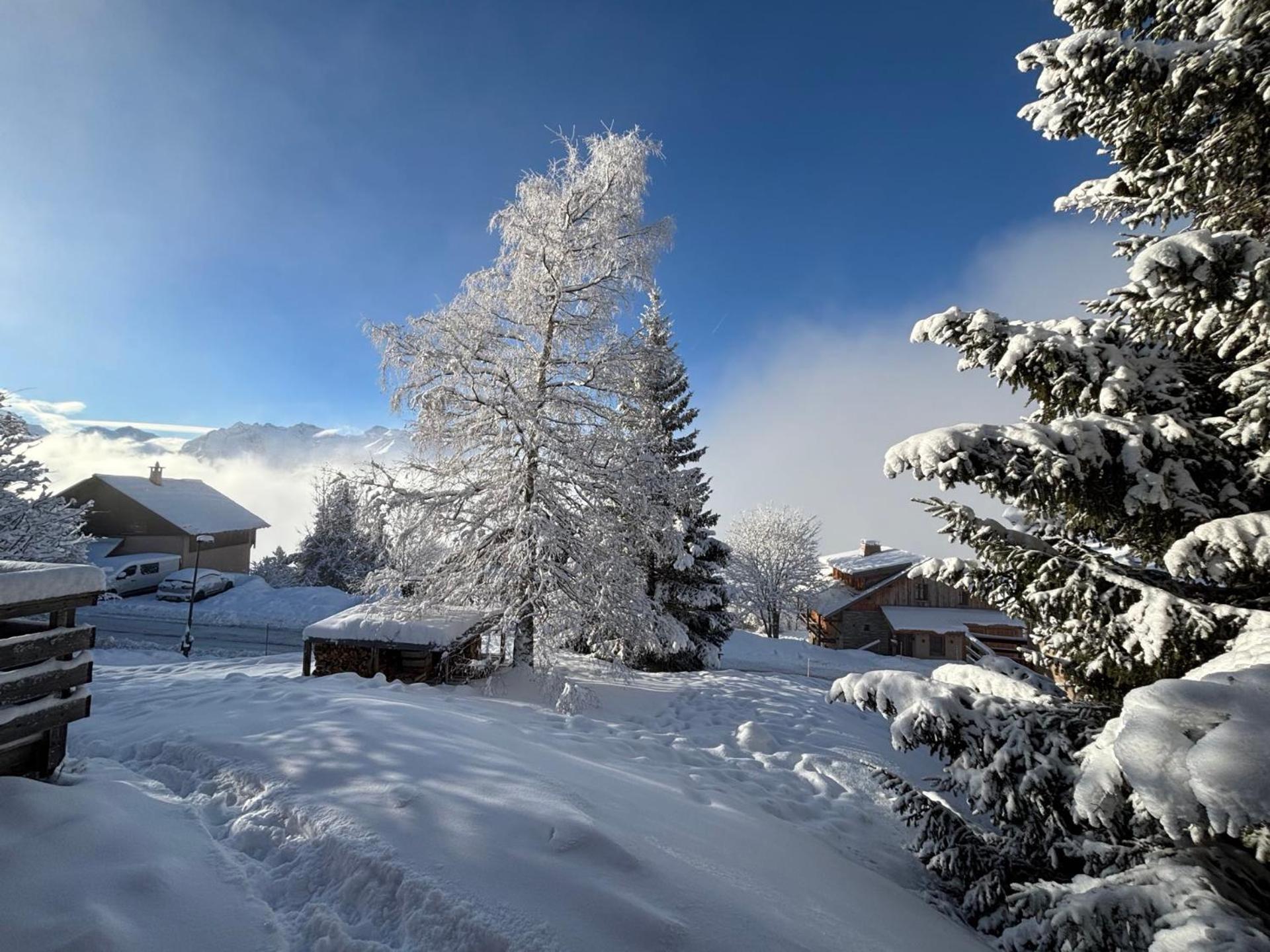 Chalet Rouge Ou Blanc Villard-Reculas Экстерьер фото